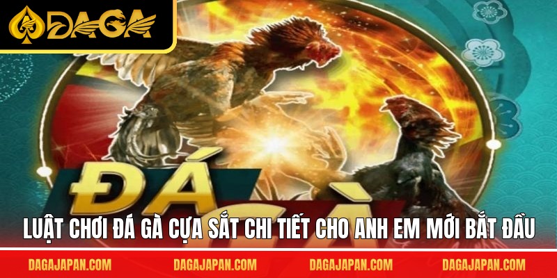 Luật chơi đá gà cựa sắt chi tiết cho anh em mới bắt đầu